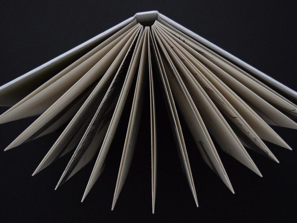 pages